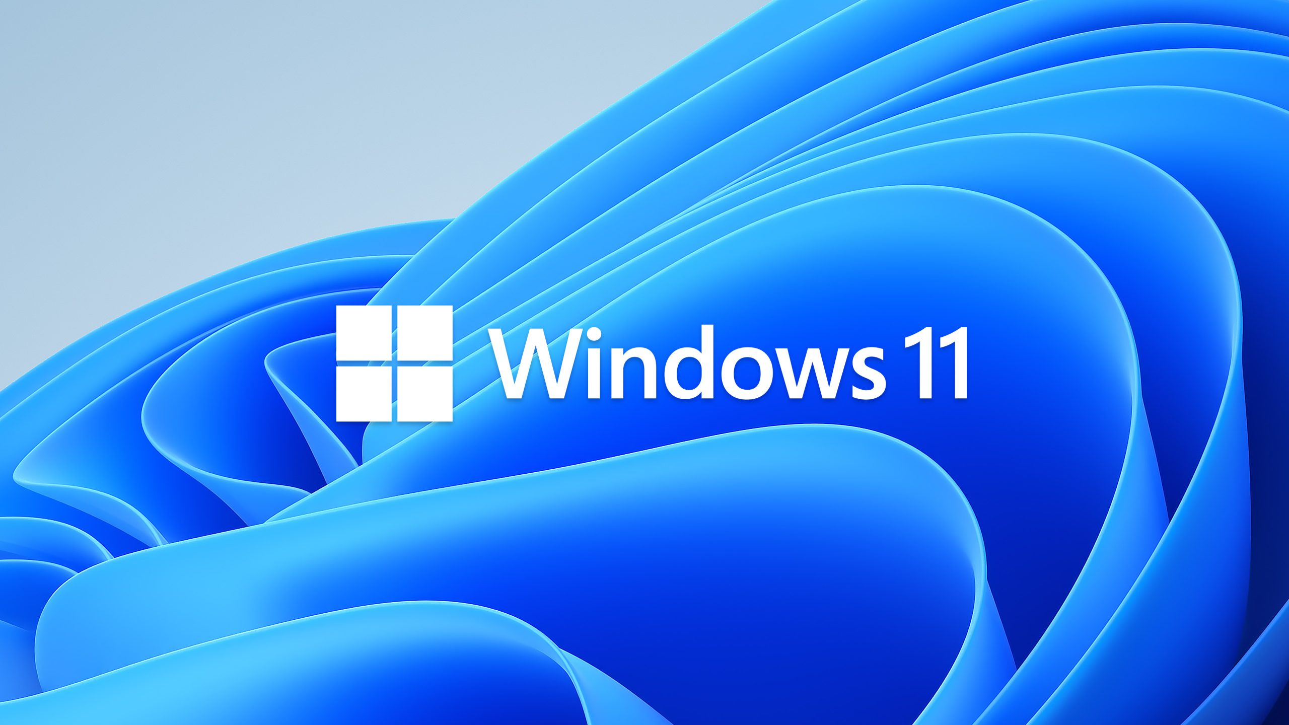 windows11-microsoft-